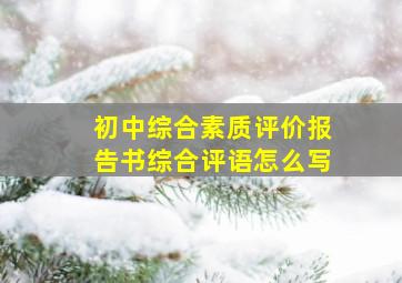 初中综合素质评价报告书综合评语怎么写