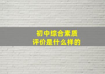 初中综合素质评价是什么样的