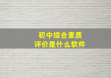 初中综合素质评价是什么软件