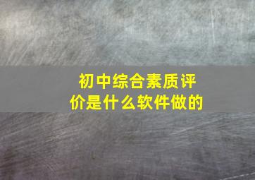 初中综合素质评价是什么软件做的