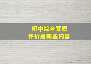 初中综合素质评价是哪些内容