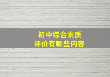 初中综合素质评价有哪些内容