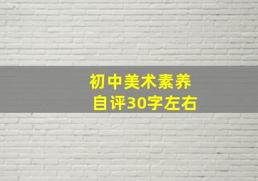 初中美术素养自评30字左右