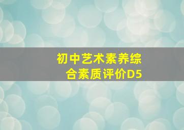 初中艺术素养综合素质评价D5