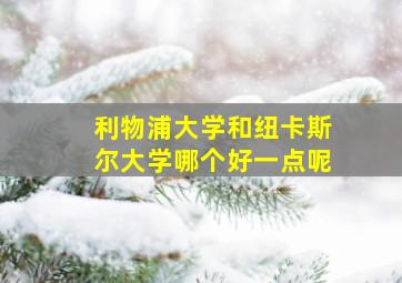 利物浦大学和纽卡斯尔大学哪个好一点呢