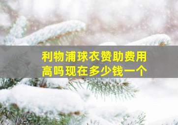 利物浦球衣赞助费用高吗现在多少钱一个