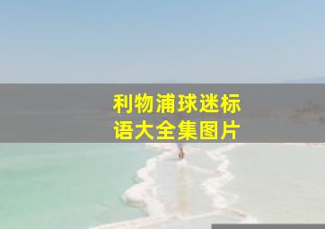 利物浦球迷标语大全集图片