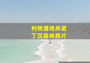 利物浦绝杀诺丁汉森林照片