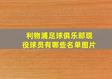 利物浦足球俱乐部现役球员有哪些名单图片