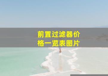 前置过滤器价格一览表图片