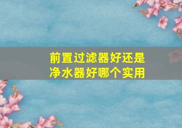 前置过滤器好还是净水器好哪个实用