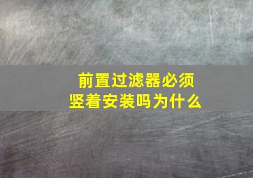 前置过滤器必须竖着安装吗为什么