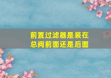 前置过滤器是装在总阀前面还是后面