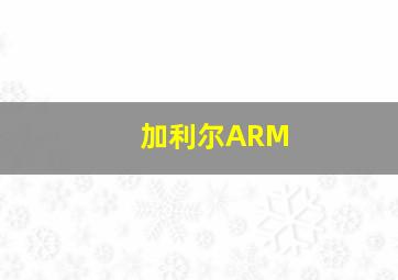 加利尔ARM