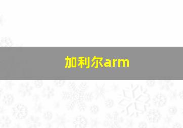 加利尔arm