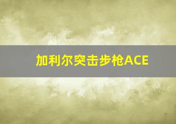 加利尔突击步枪ACE