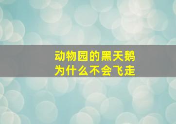 动物园的黑天鹅为什么不会飞走