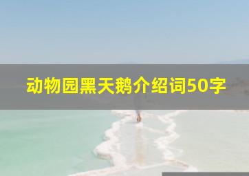 动物园黑天鹅介绍词50字