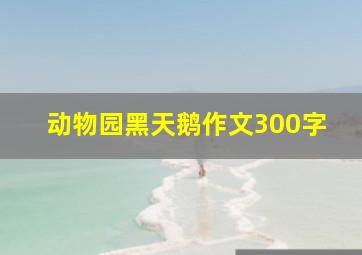 动物园黑天鹅作文300字