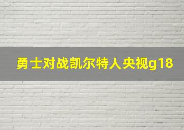 勇士对战凯尔特人央视g18