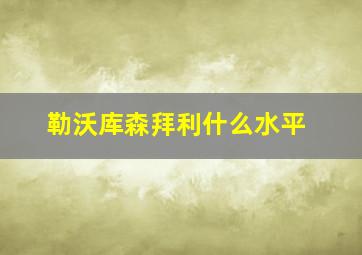 勒沃库森拜利什么水平