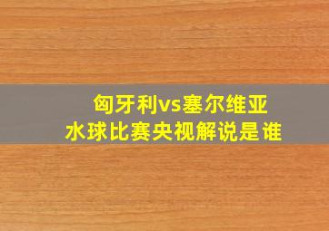 匈牙利vs塞尔维亚水球比赛央视解说是谁