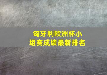 匈牙利欧洲杯小组赛成绩最新排名