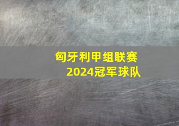 匈牙利甲组联赛2024冠军球队