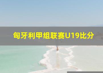 匈牙利甲组联赛U19比分