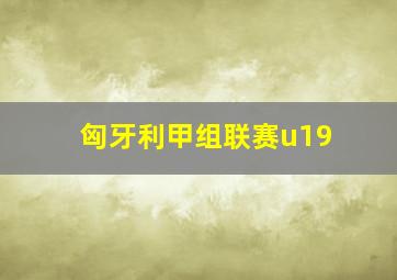 匈牙利甲组联赛u19