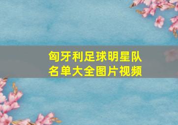 匈牙利足球明星队名单大全图片视频