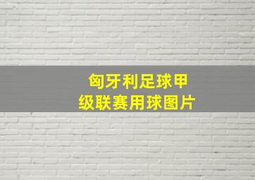 匈牙利足球甲级联赛用球图片