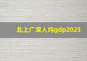 北上广深人均gdp2023