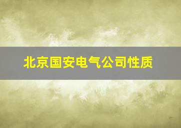 北京国安电气公司性质