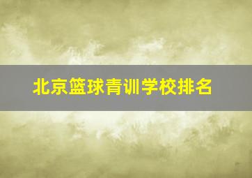 北京篮球青训学校排名