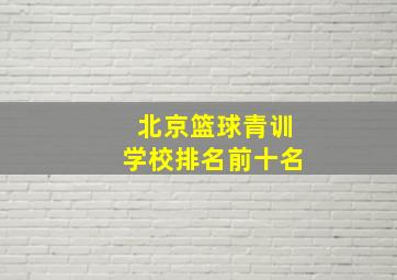 北京篮球青训学校排名前十名