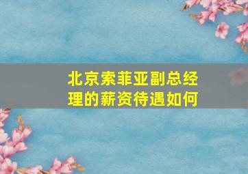 北京索菲亚副总经理的薪资待遇如何