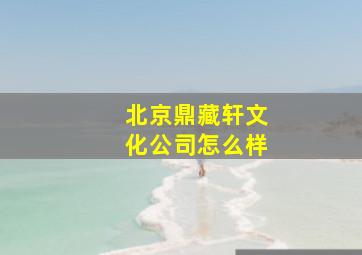 北京鼎藏轩文化公司怎么样