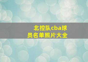 北控队cba球员名单照片大全