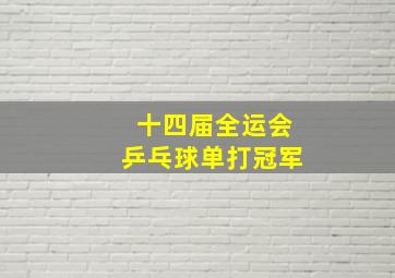 十四届全运会乒乓球单打冠军