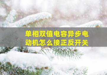 单相双值电容异步电动机怎么接正反开关