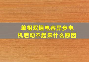 单相双值电容异步电机启动不起来什么原因