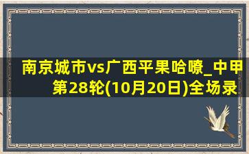 南京城市vs广西平果哈嘹_中甲第28轮(10月20日)全场录像