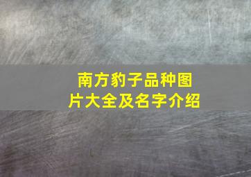 南方豹子品种图片大全及名字介绍