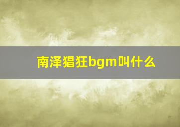 南泽猖狂bgm叫什么