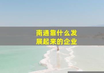 南通靠什么发展起来的企业