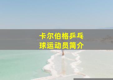 卡尔伯格乒乓球运动员简介