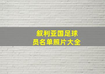 叙利亚国足球员名单照片大全