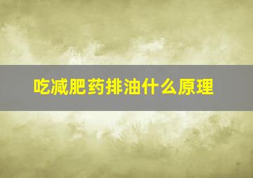 吃减肥药排油什么原理