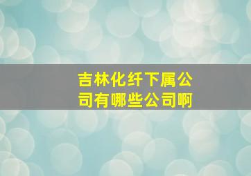 吉林化纤下属公司有哪些公司啊